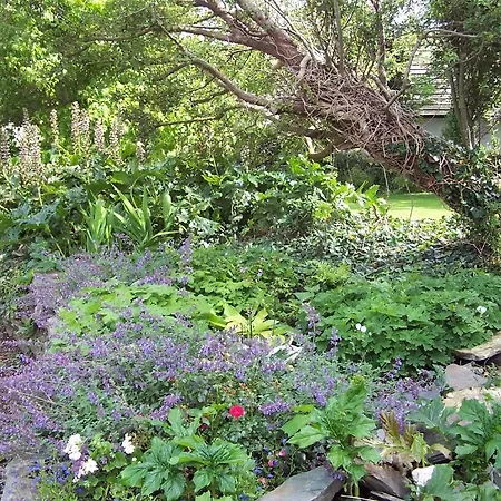 The Old Parsonage Bed & Breakfast 5*
